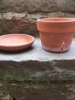 Clay Orchid Pot Terracotta Dominican Republic Vintage Clay w Saucer Italy